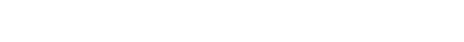 Hook Security logo